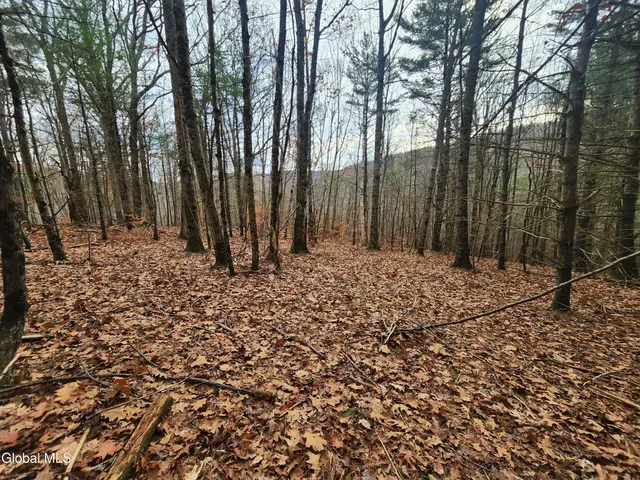 $39,000 | L12 Rebel Ridge Road, Jefferson, NY 12093