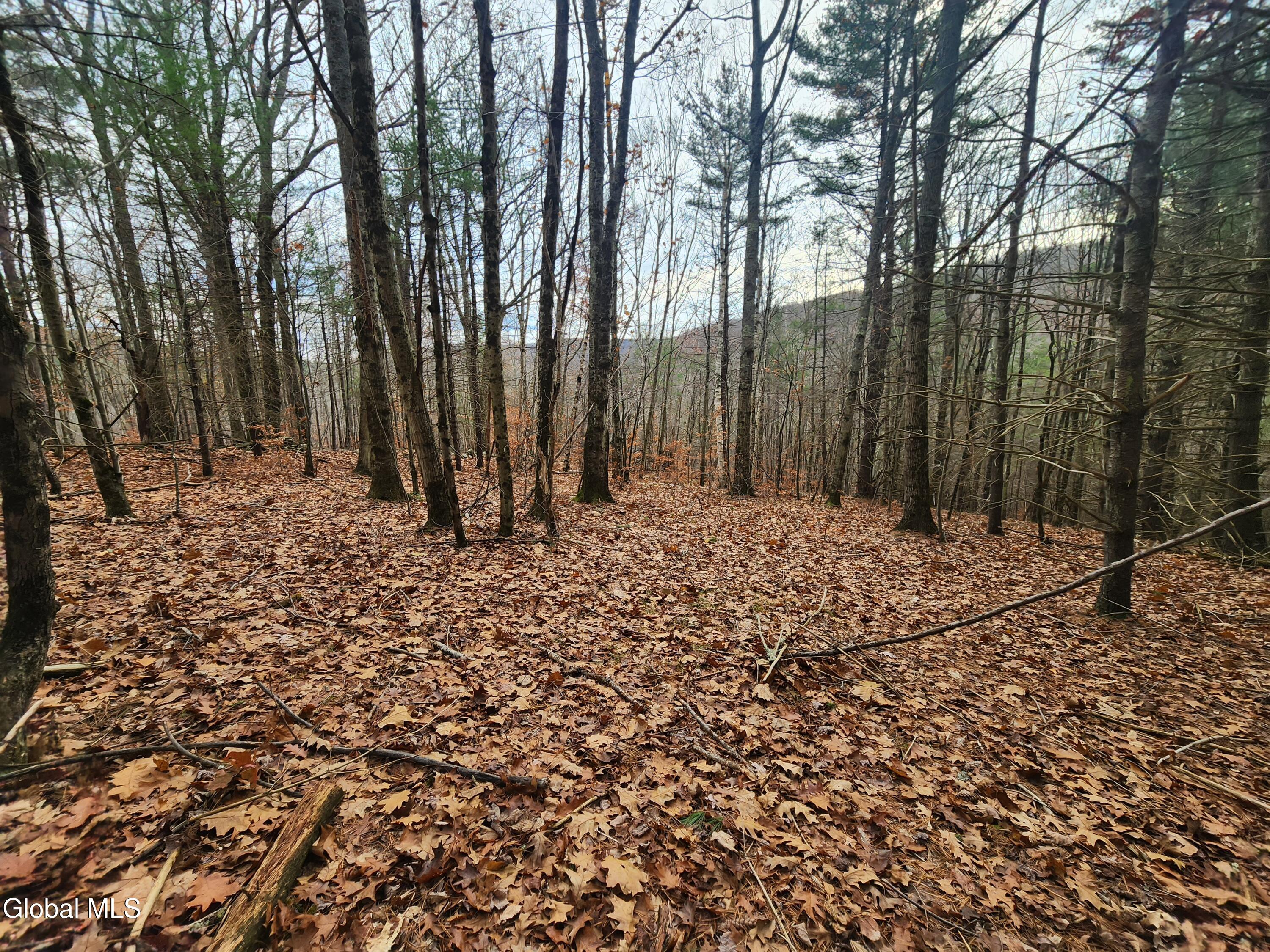 L12 Rebel Ridge Road Jefferson, NY 12093 - Photo 30 of 33 20251107_130332