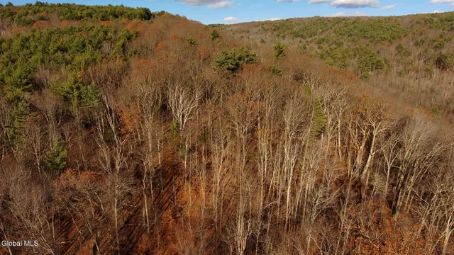 $39,000 | L12 Rebel Ridge Road, Jefferson, NY 12093