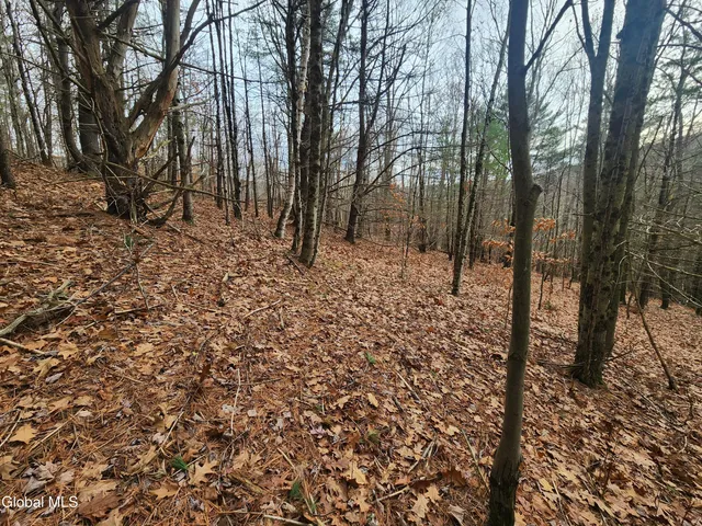 $39,000 | L12 Rebel Ridge Road, Jefferson, NY 12093