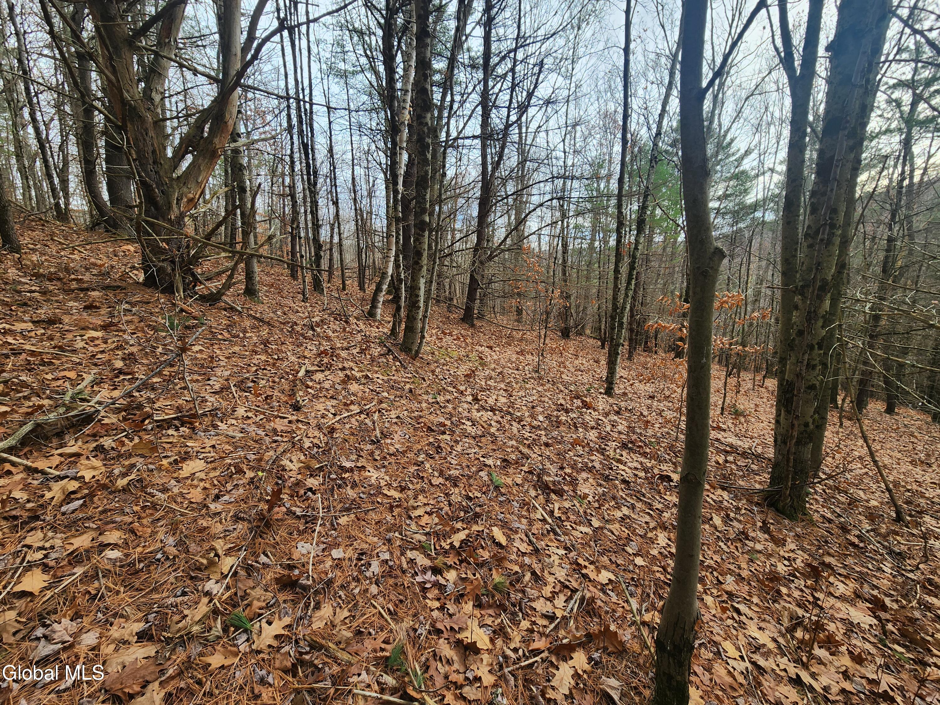 L12 Rebel Ridge Road Jefferson, NY 12093 - Photo 31 of 33 20251107_130619