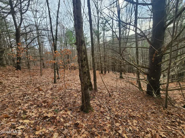 $39,000 | L12 Rebel Ridge Road, Jefferson, NY 12093