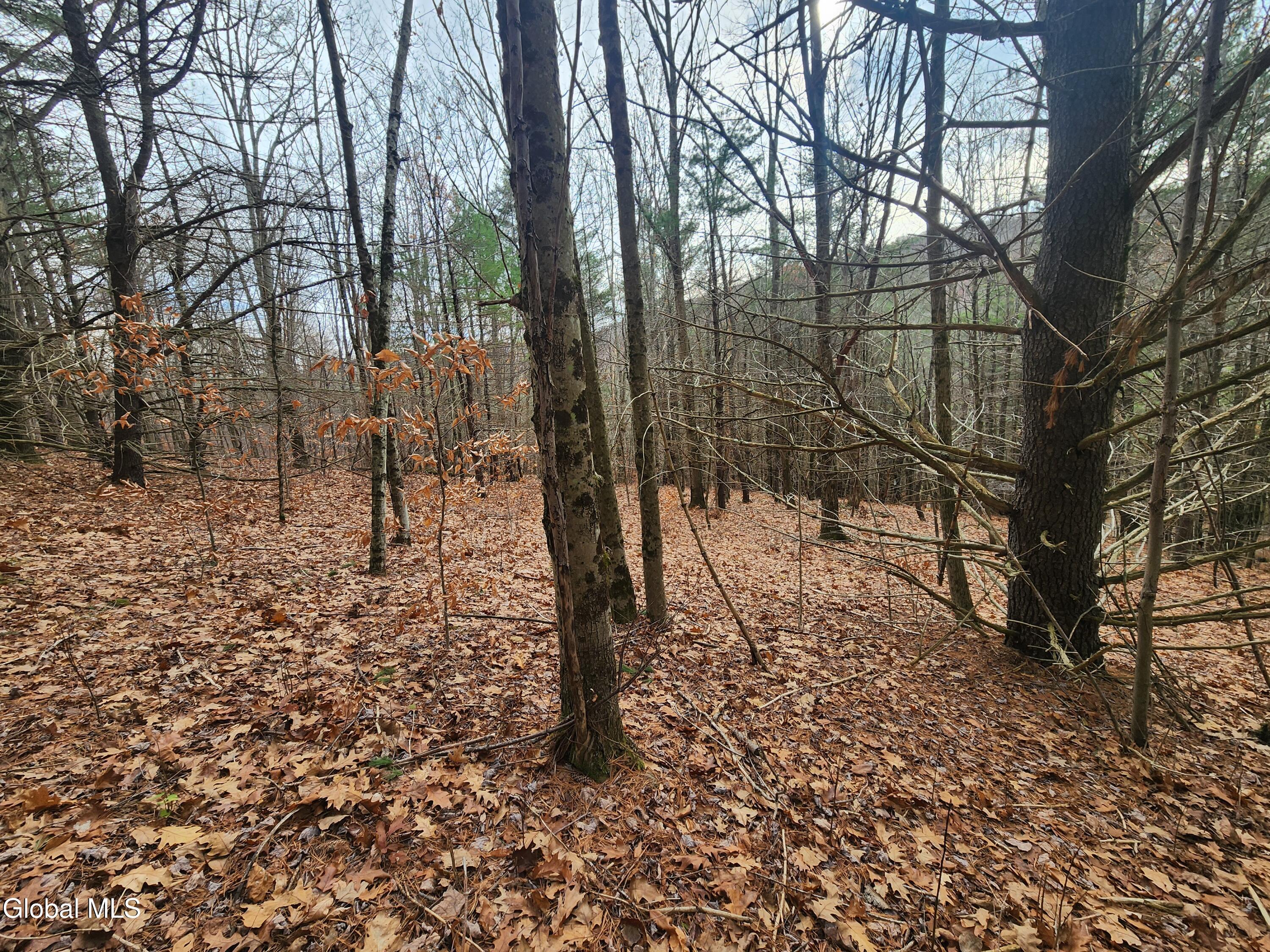 L12 Rebel Ridge Road Jefferson, NY 12093 - Photo 32 of 33 20251107_130624