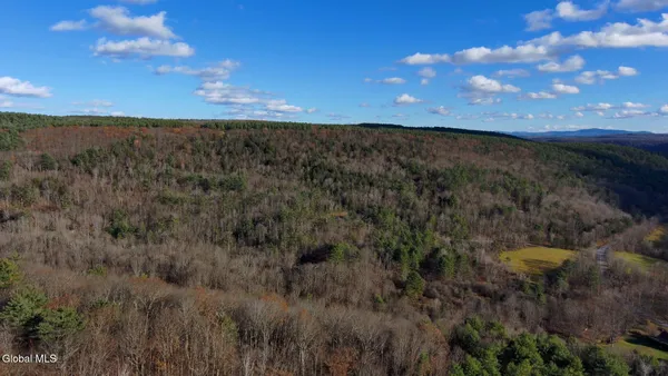 $39,000 | L12 Rebel Ridge Road, Jefferson, NY 12093