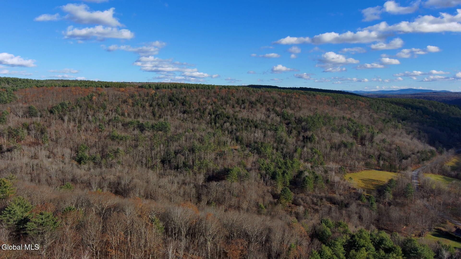 L12 Rebel Ridge Road Jefferson, NY 12093 - Photo 4 of 33 L-12 Rebel Aerial 3