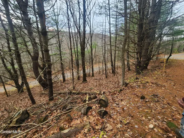 $39,000 | L12 Rebel Ridge Road, Jefferson, NY 12093