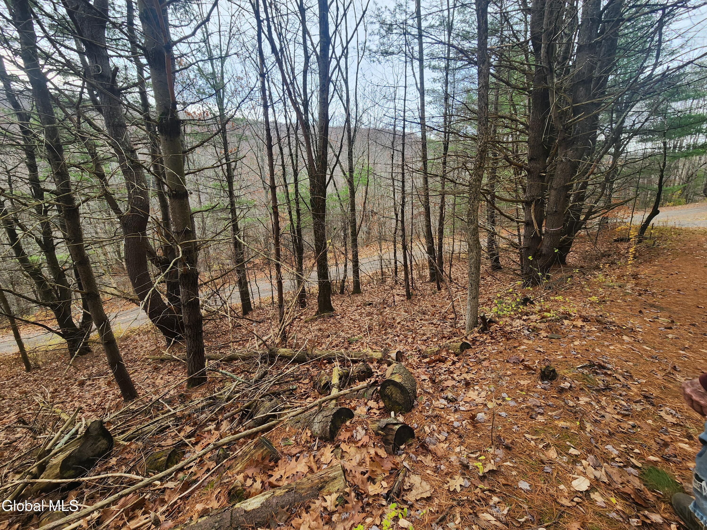 L12 Rebel Ridge Road Jefferson, NY 12093 - Photo 5 of 33 20251107_125019