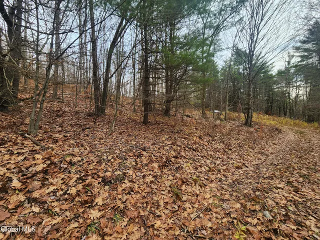 $39,000 | L12 Rebel Ridge Road, Jefferson, NY 12093