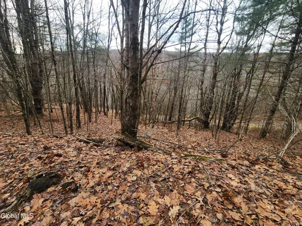 $39,000 | L12 Rebel Ridge Road, Jefferson, NY 12093