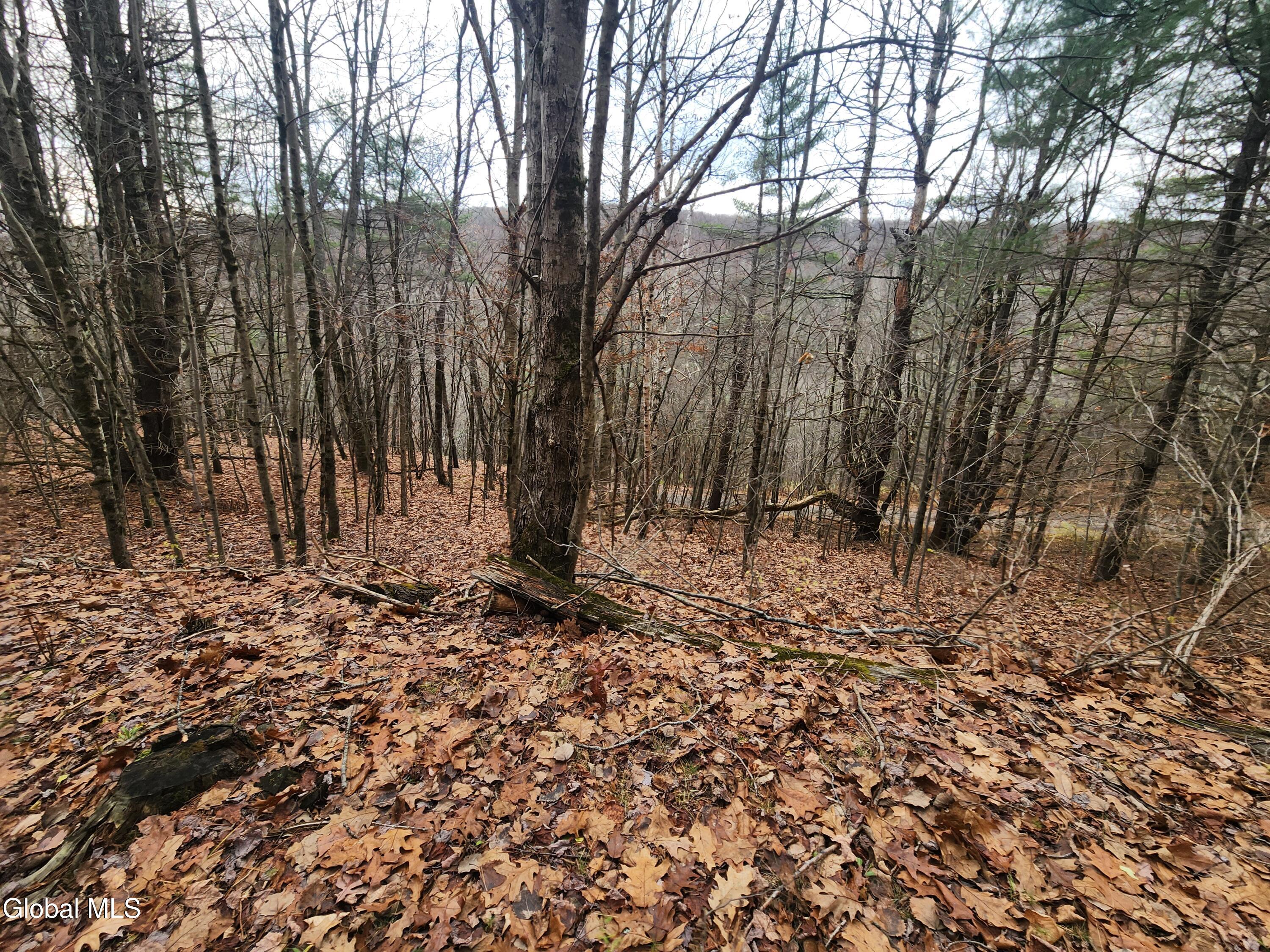 L12 Rebel Ridge Road Jefferson, NY 12093 - Photo 7 of 33 20251107_125120