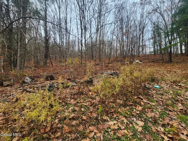 $39,000 | L12 Rebel Ridge Road, Jefferson, NY 12093