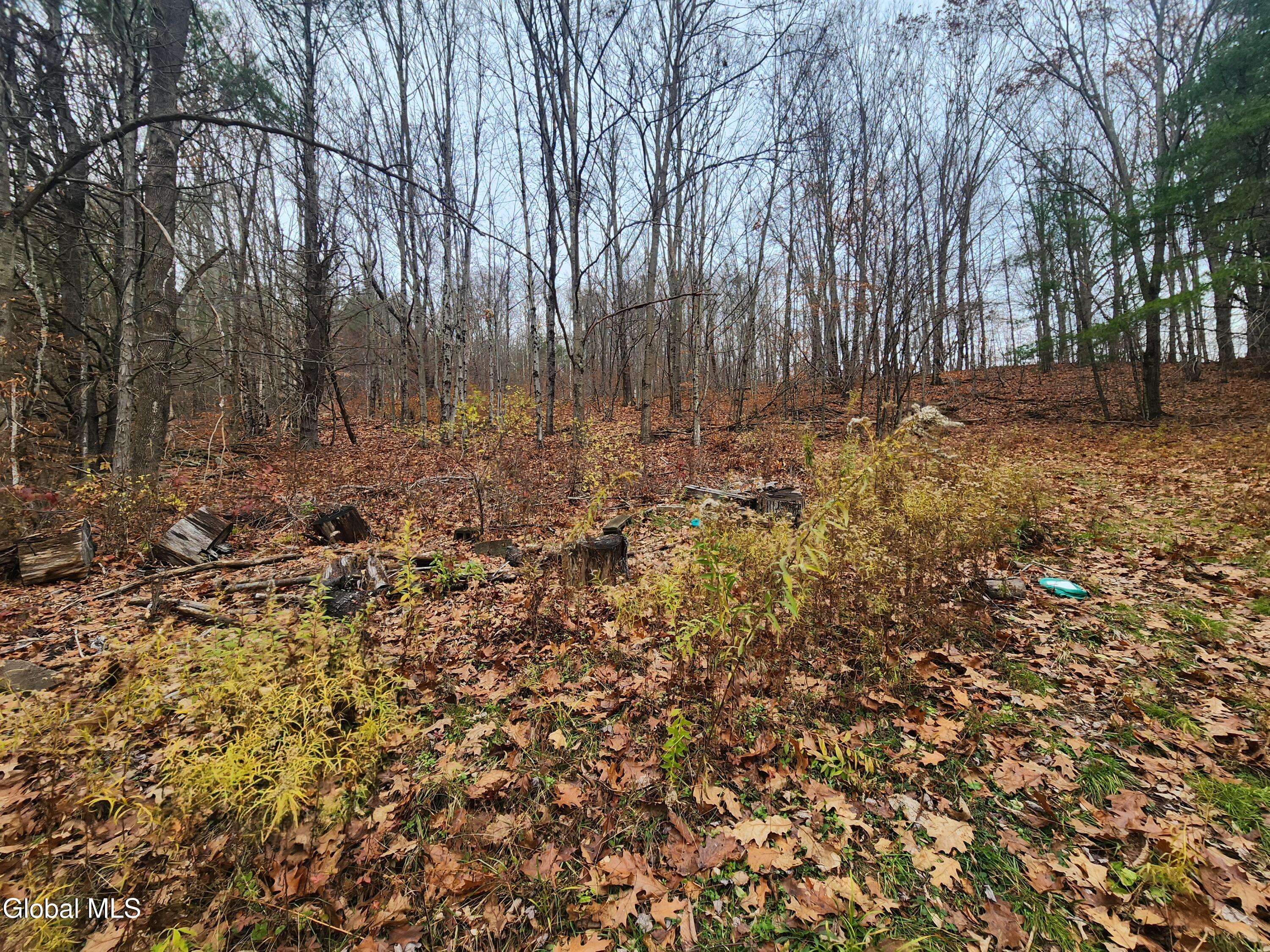 L12 Rebel Ridge Road Jefferson, NY 12093 - Photo 8 of 33 20251107_125205