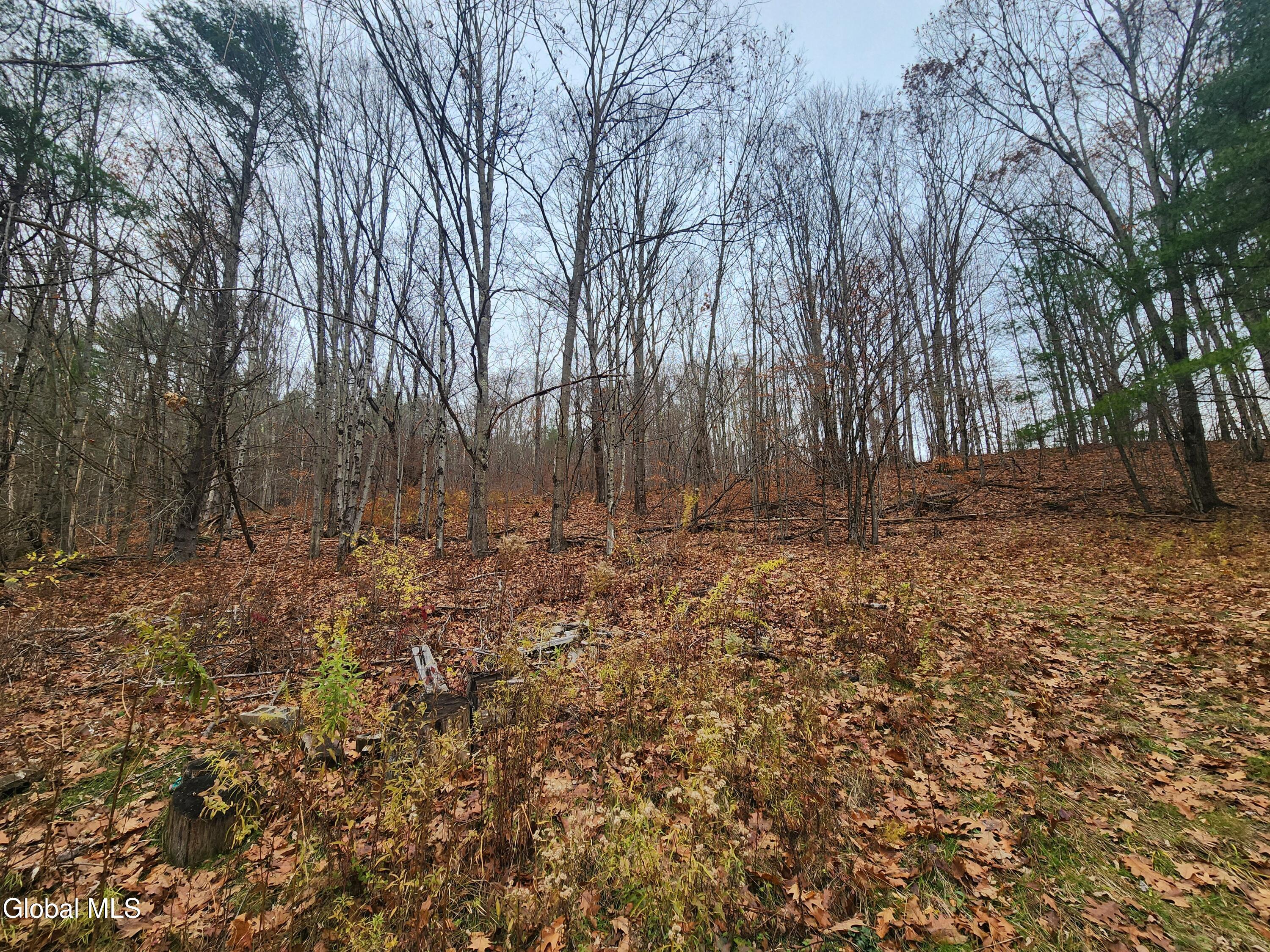 L12 Rebel Ridge Road Jefferson, NY 12093 - Photo 9 of 33 20251107_125213