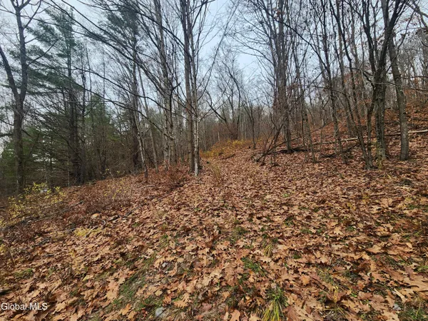 $39,000 | L12 Rebel Ridge Road, Jefferson, NY 12093