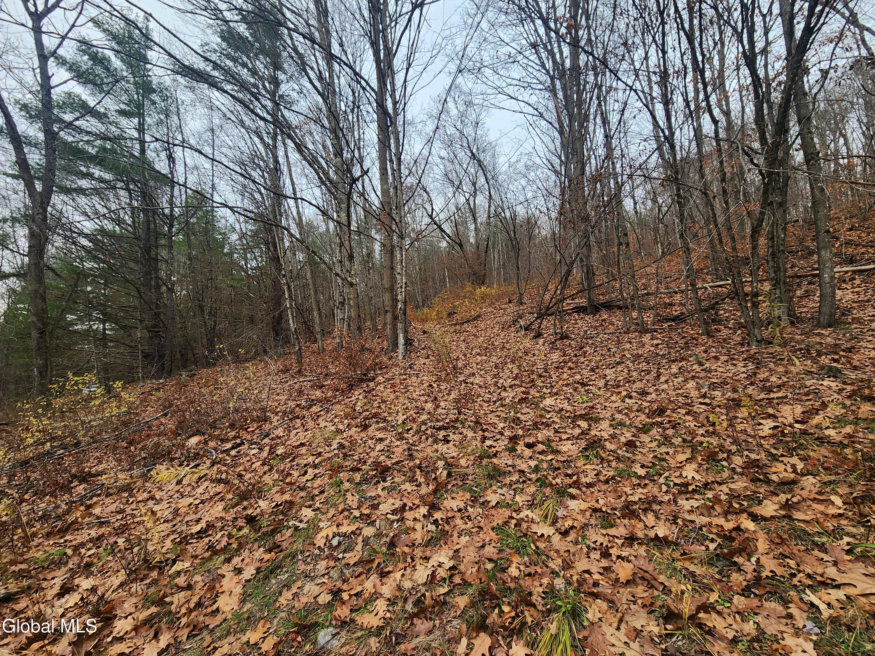 L12 Rebel Ridge Road Jefferson, NY 12093 - Photo 10 of 33 20251107_125229