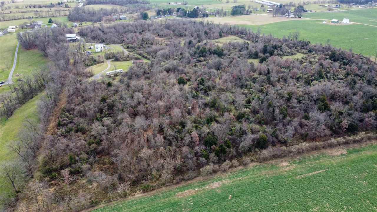 17073 Andrick Mill Road Timberville, VA 22853 - Photo 4 of 10 Gallery Image 4