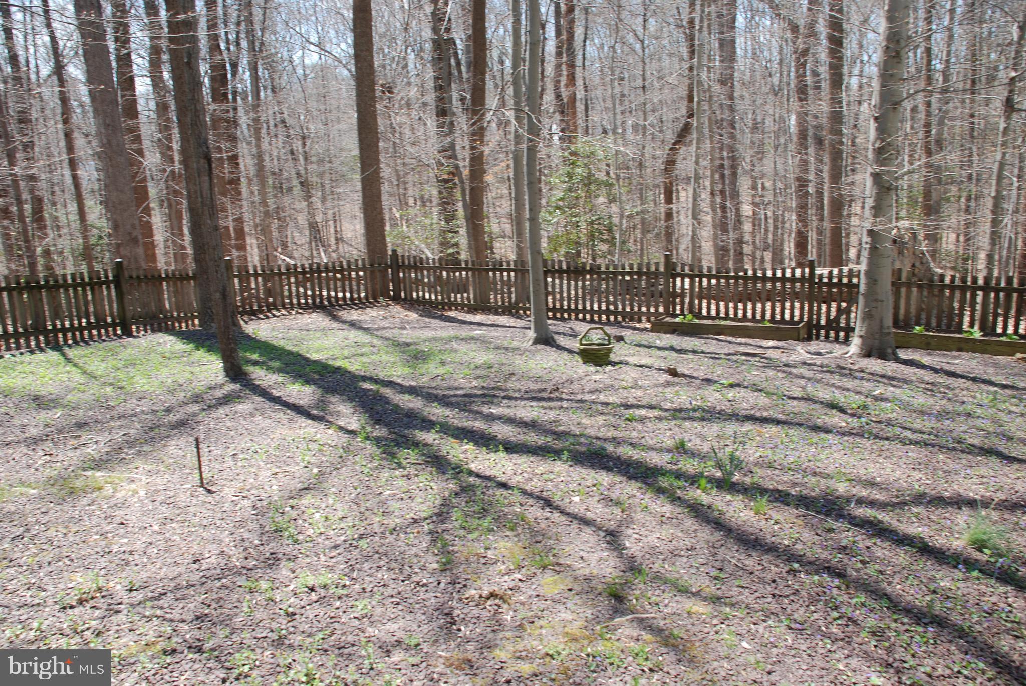 8343 Magic Leaf Road Springfield, VA 22153 - Photo 23 of 24 Yard extends beyond the fence