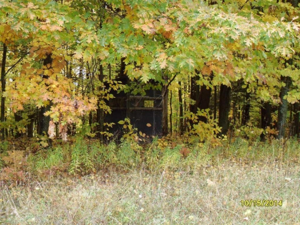 16431 9 Mile Road Reed City, MI 49677 - Photo 23 of 35 SDC17813