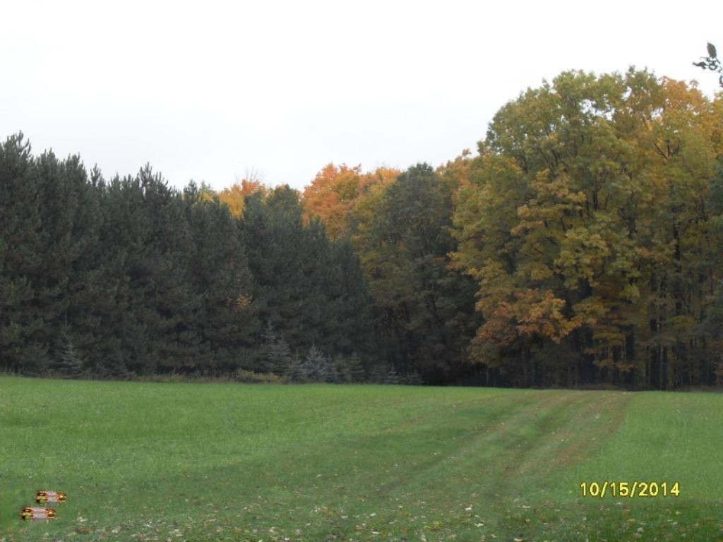 16431 9 Mile Road Reed City, MI 49677 - Photo 33 of 35 SDC17825