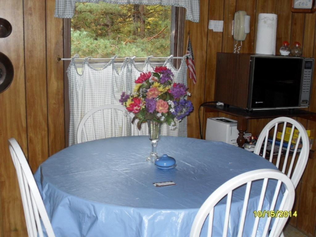 16431 9 Mile Road Reed City, MI 49677 - Photo 10 of 35 SDC17839