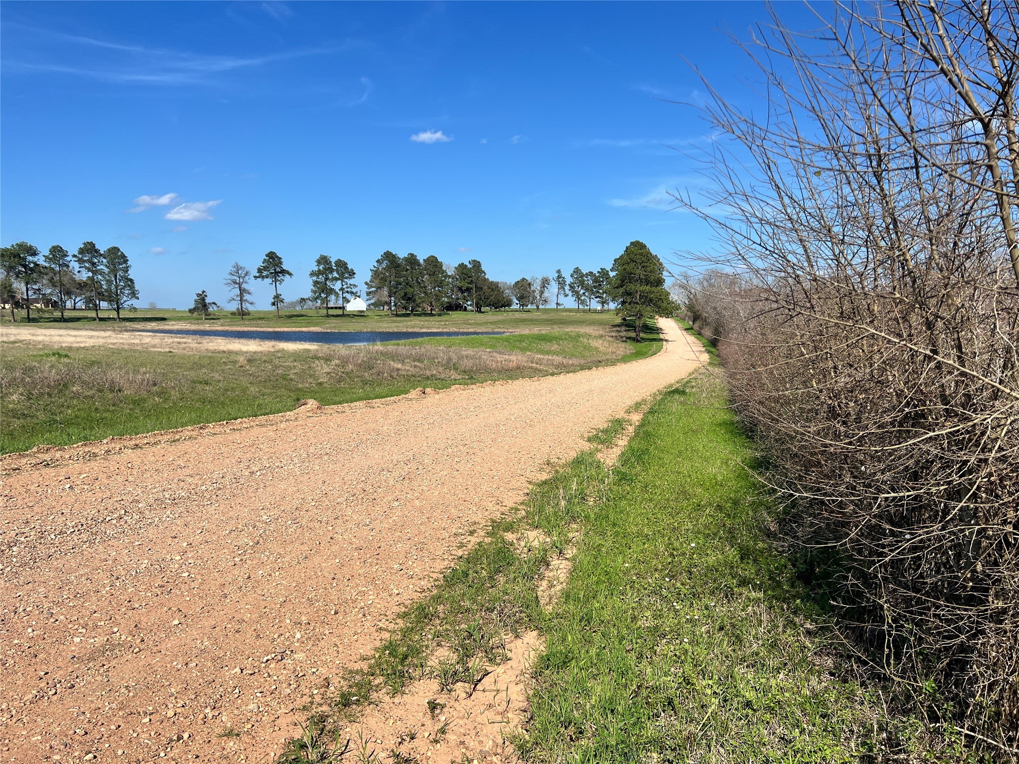 1 Blezinger Road New Ulm, TX 78950 - Photo 11 of 44 a view of lake view with mountain and trees in the background