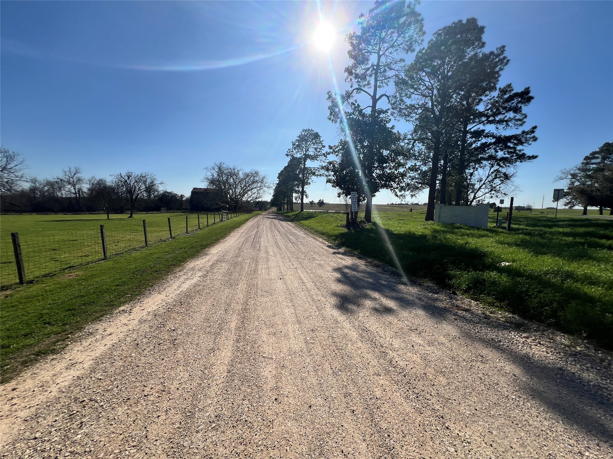 1 Blezinger Road New Ulm, TX 78950 - Photo 12 of 44 a view of a park with large trees