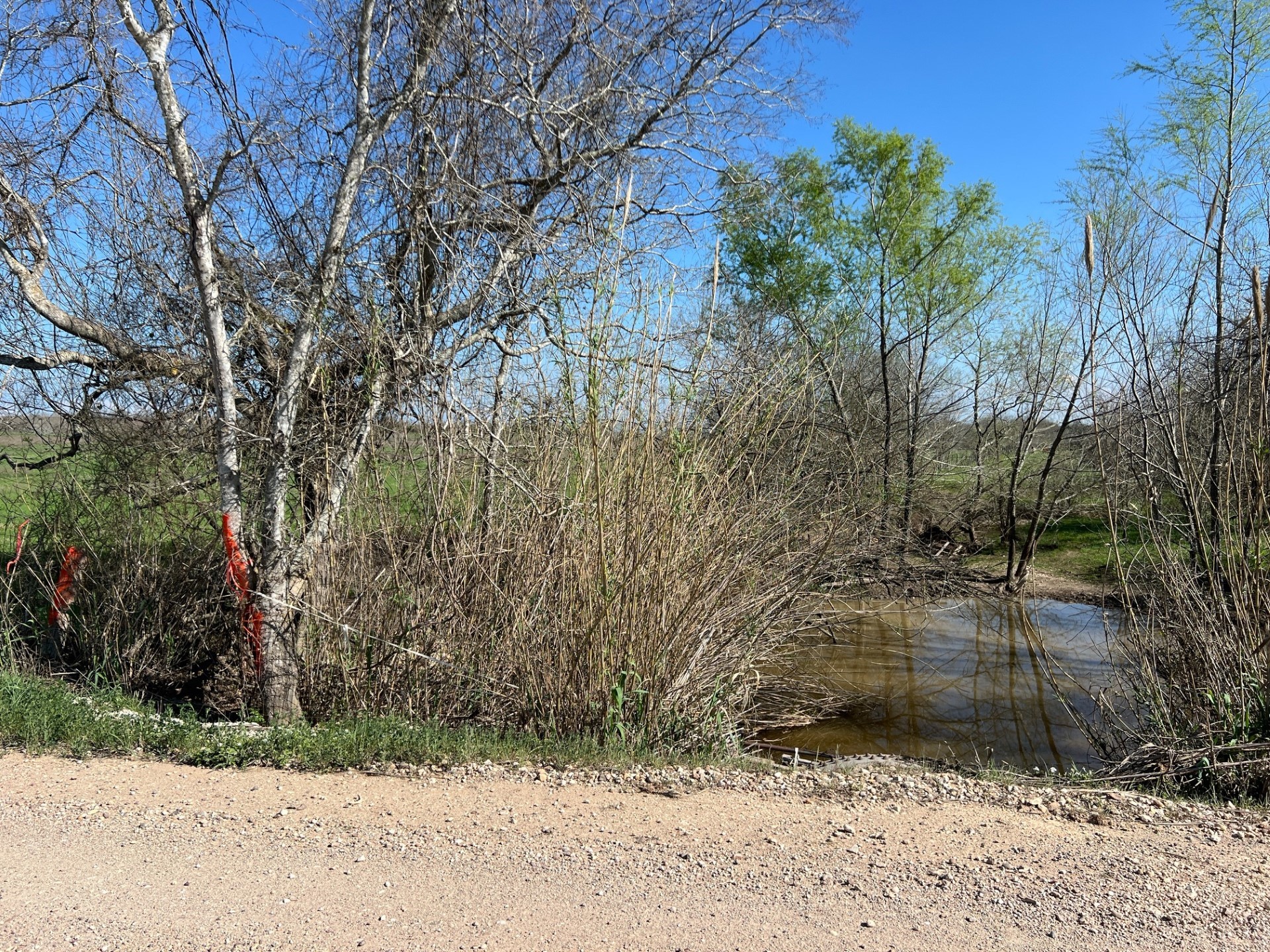 1 Blezinger Road New Ulm, TX 78950 - Photo 13 of 44 Blezinger Creek marks the right boundary of the property.