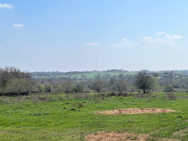 1 Blezinger Road New Ulm, TX 78950 - Photo 14 of 44 In the Spring the hills will be alive with Bluebonnets and Indian paint brush.