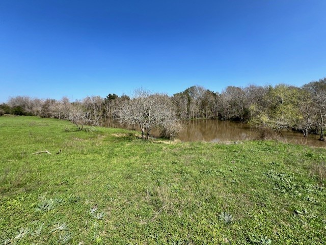1 Blezinger Road New Ulm, TX 78950 - Photo 19 of 44 One of the three ponds