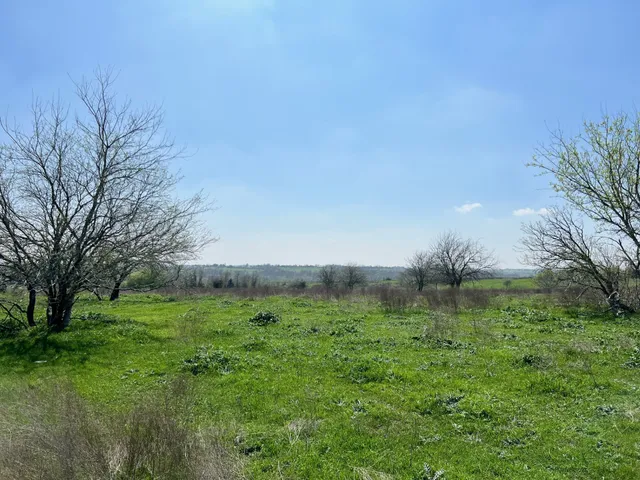 $10,030,680 | 1 Blezinger Road, New Ulm, TX 78950