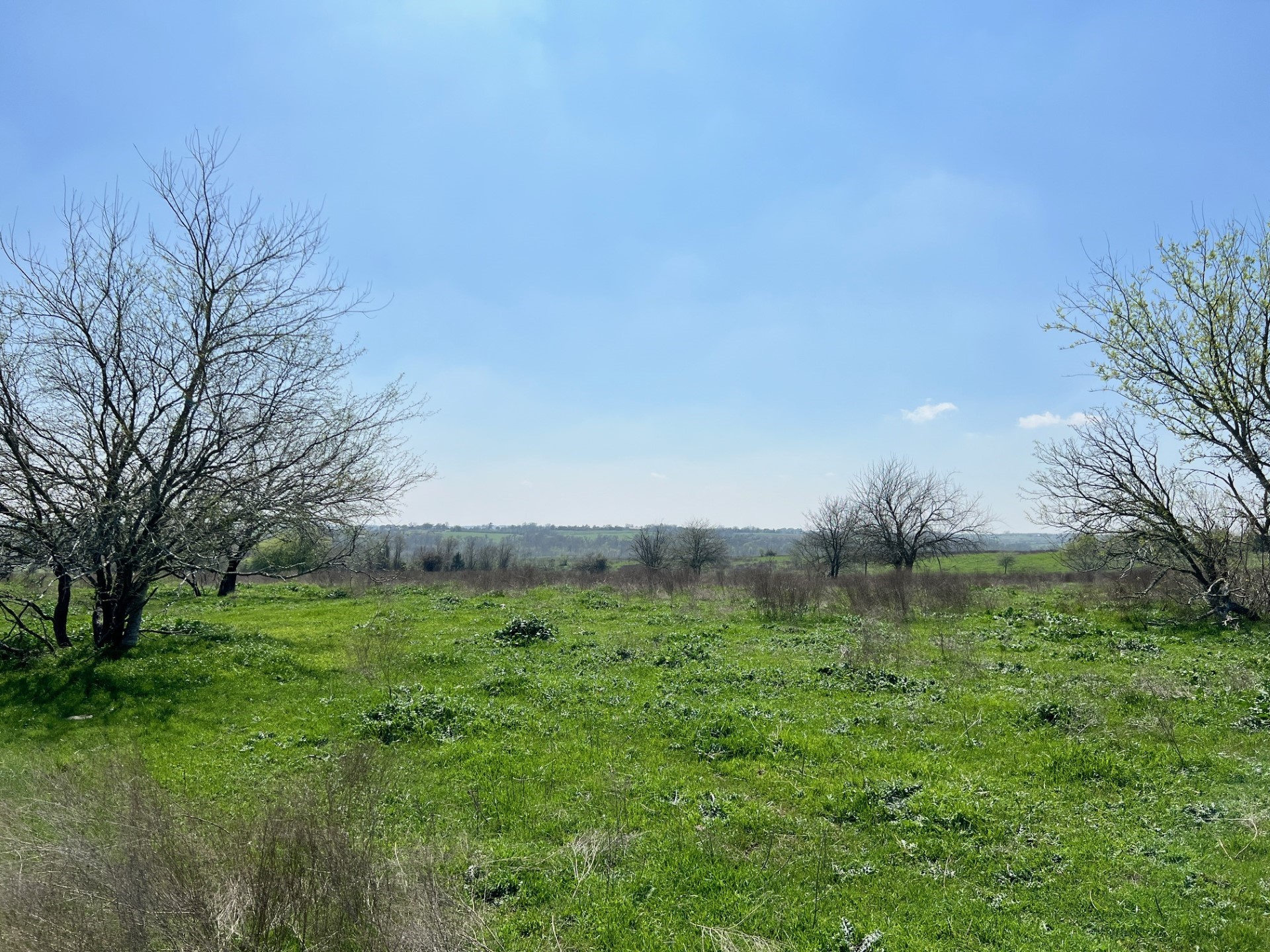 1 Blezinger Road New Ulm, TX 78950 - Photo 20 of 44