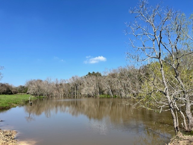 1 Blezinger Road New Ulm, TX 78950 - Photo 2 of 44 One of the 3 ponds on subject property.