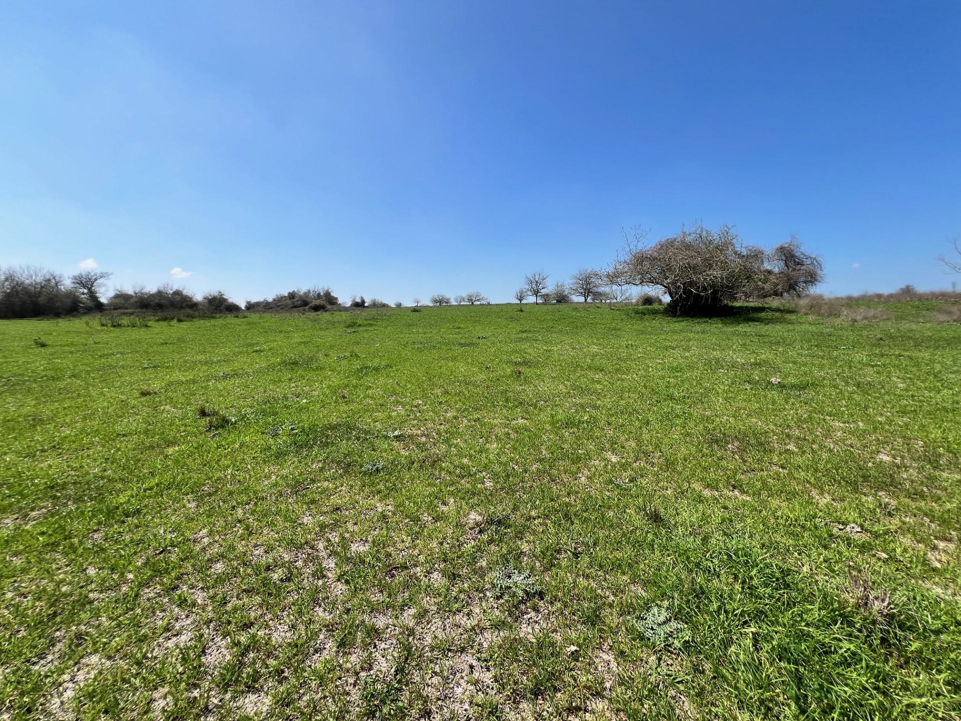 1 Blezinger Road New Ulm, TX 78950 - Photo 21 of 44