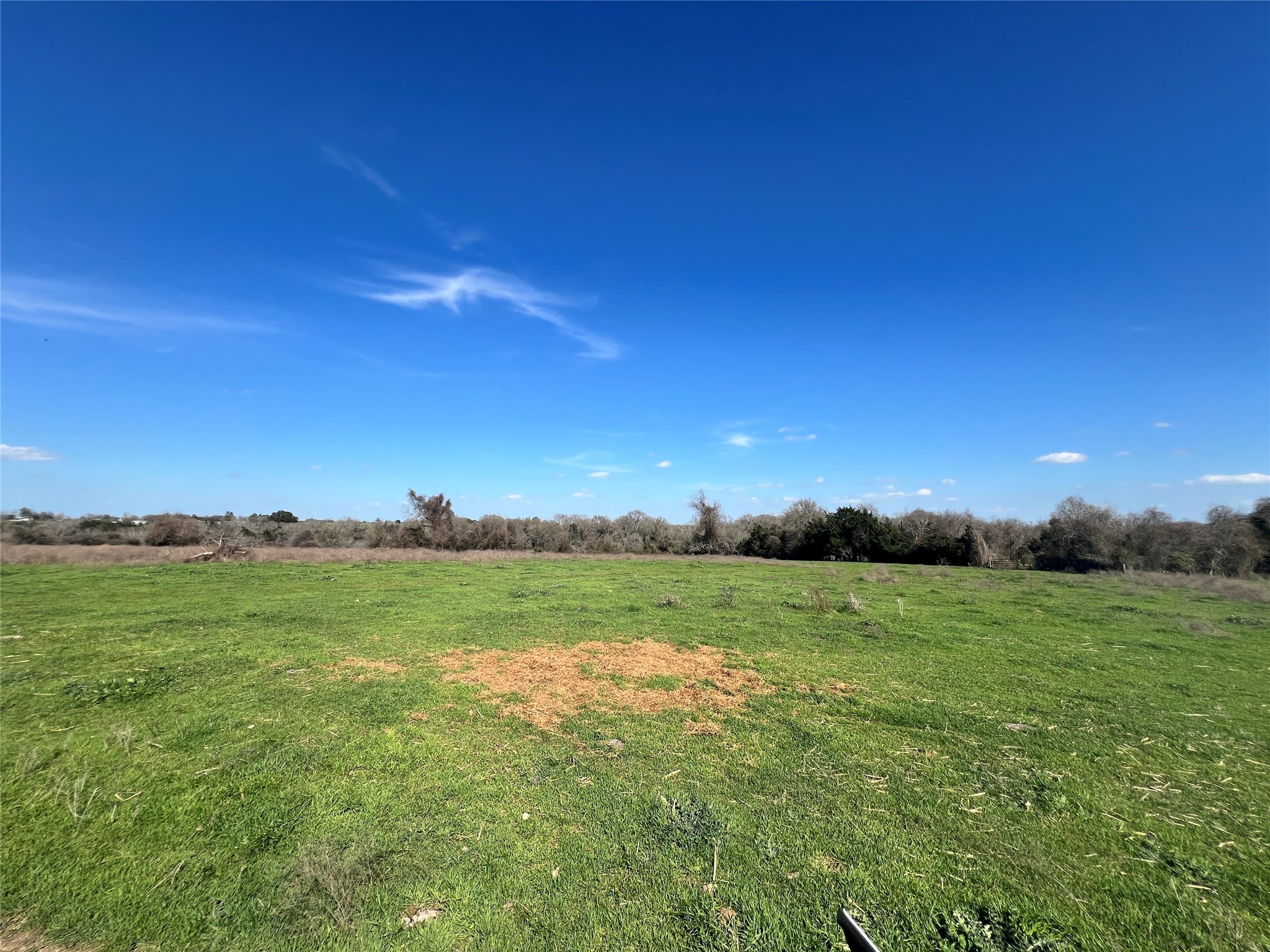 1 Blezinger Road New Ulm, TX 78950 - Photo 39 of 44 a view of an ocean from a yard