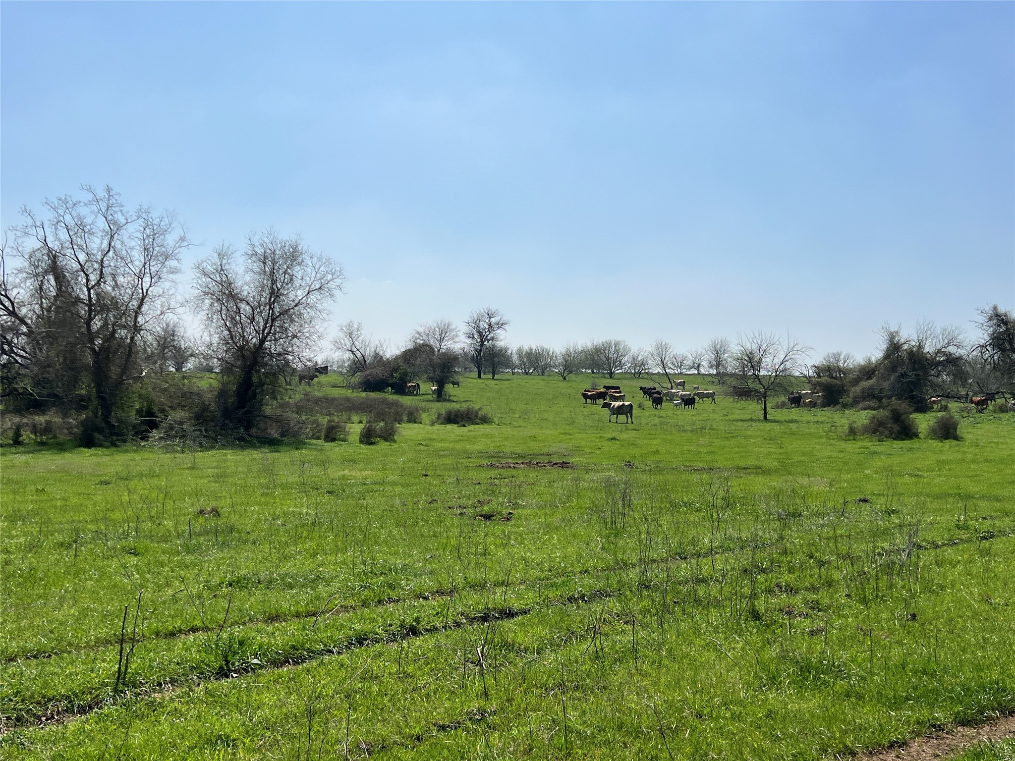 1 Blezinger Road New Ulm, TX 78950 - Photo 40 of 44