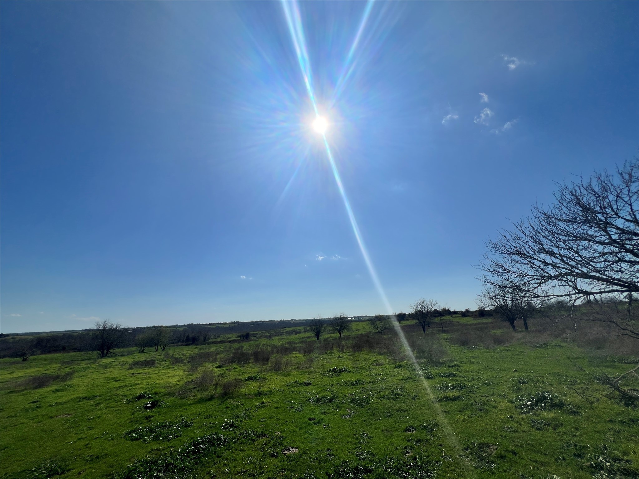 1 Blezinger Road New Ulm, TX 78950 - Photo 4 of 44