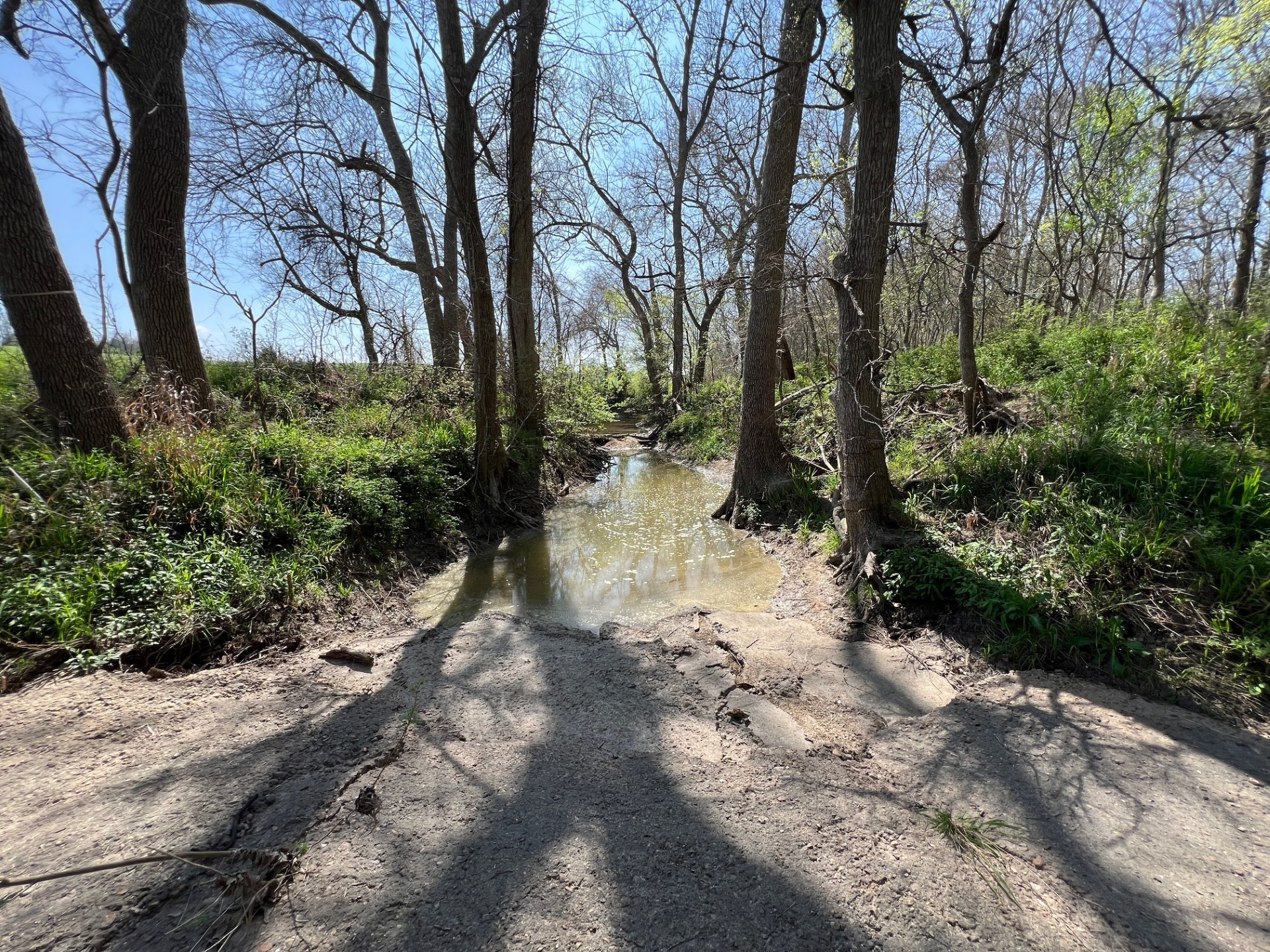 1 Blezinger Road New Ulm, TX 78950 - Photo 7 of 44 This runs along the left side of the property.