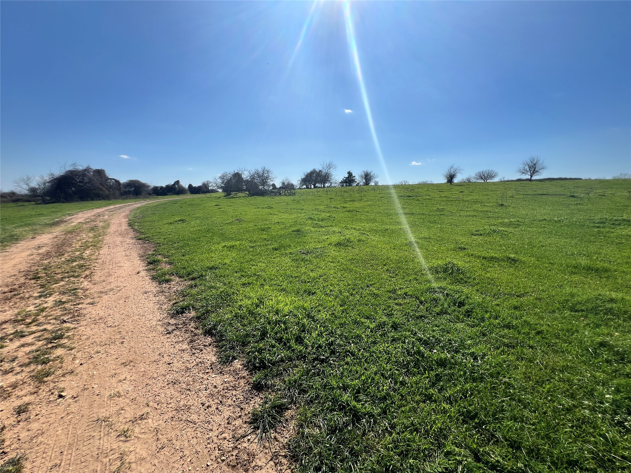 1 Blezinger Road New Ulm, TX 78950 - Photo 8 of 44 a view of a lake with a big yard