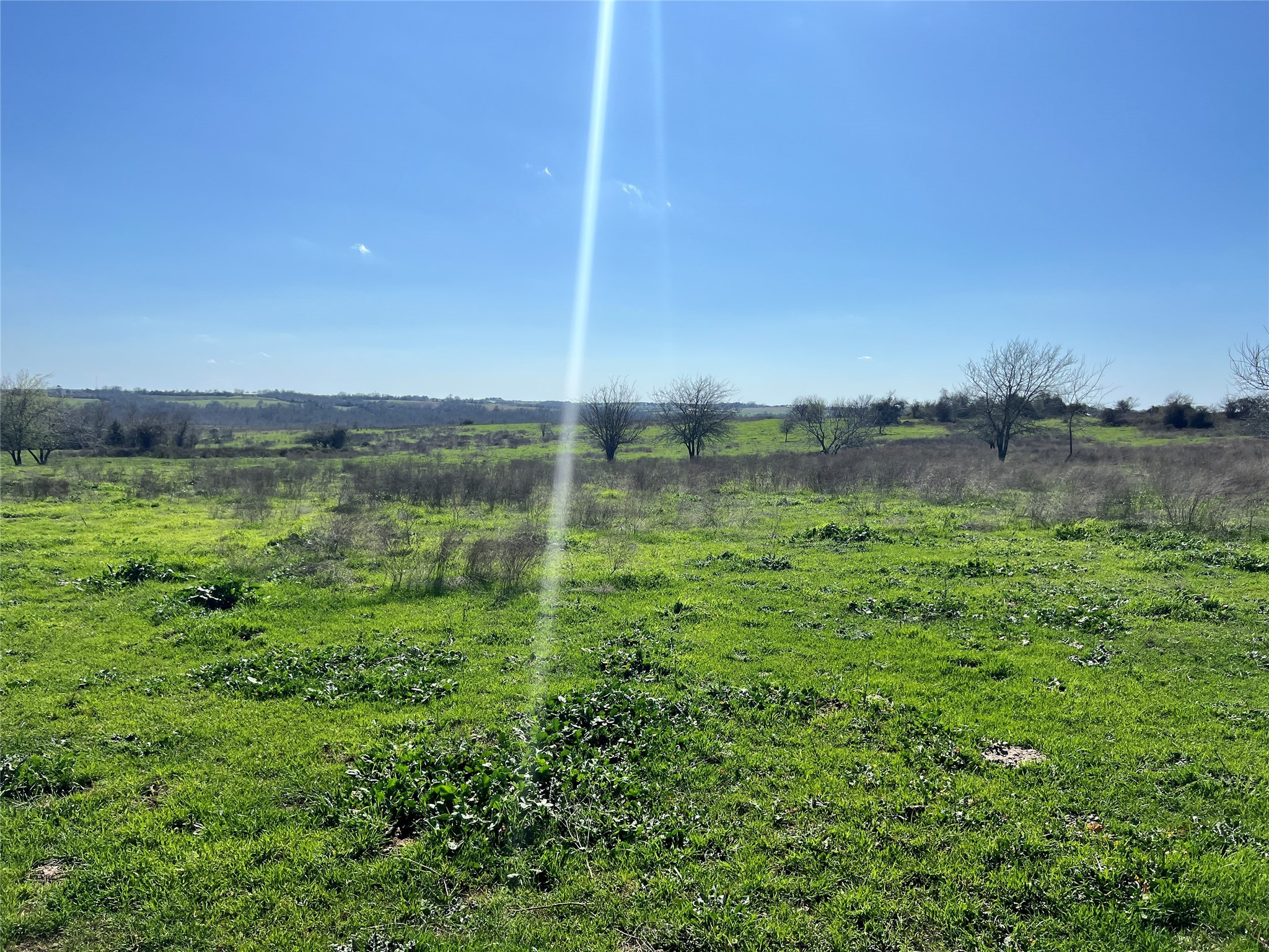 1 Blezinger Road New Ulm, TX 78950 - Photo 9 of 44 Rolling hills provide scenic views.