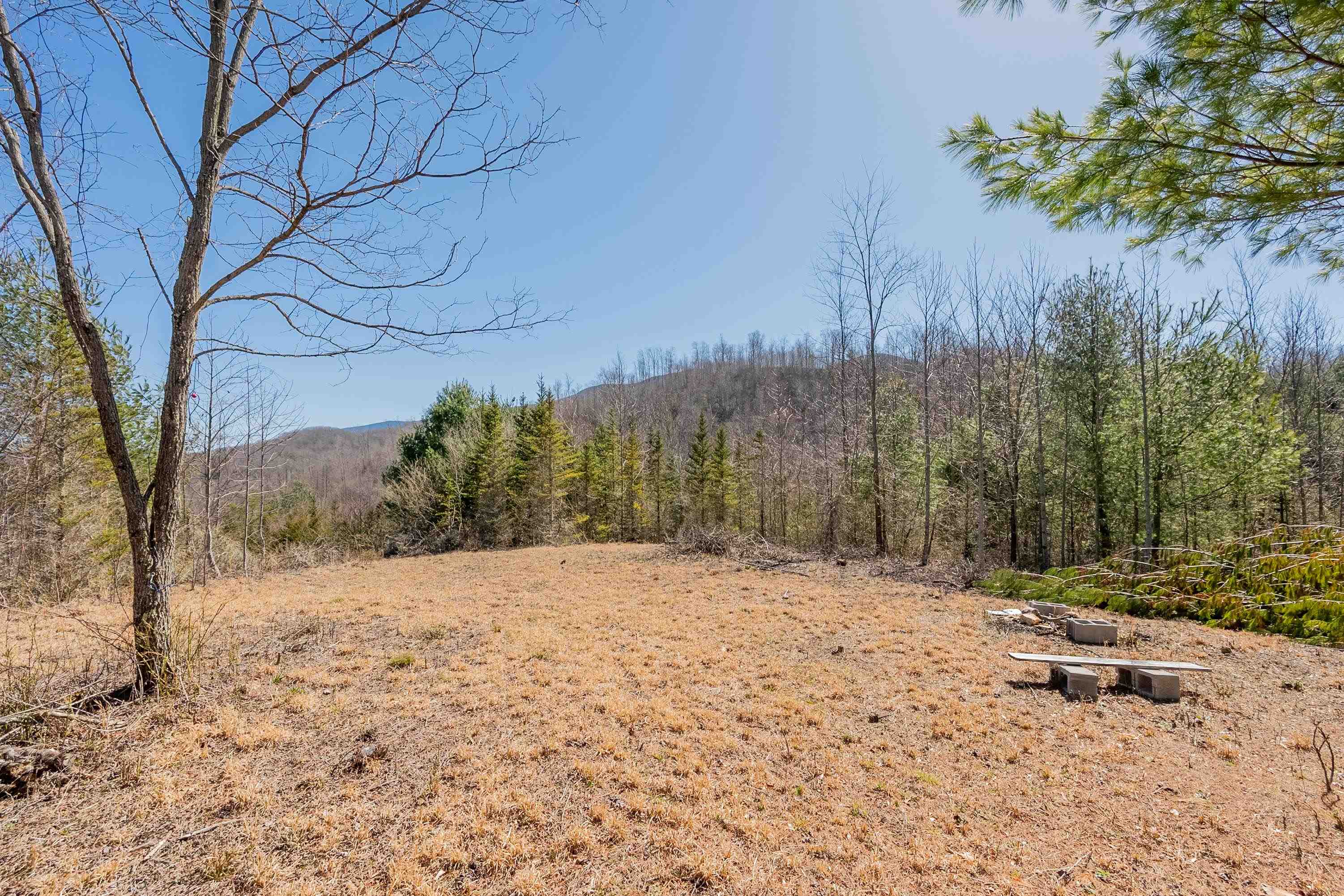 Tbd Southwest Tbd Sw Jeb Stuart Road Southwest Damascus, VA 24236 - Photo 60 of 113 Gallery Image 60