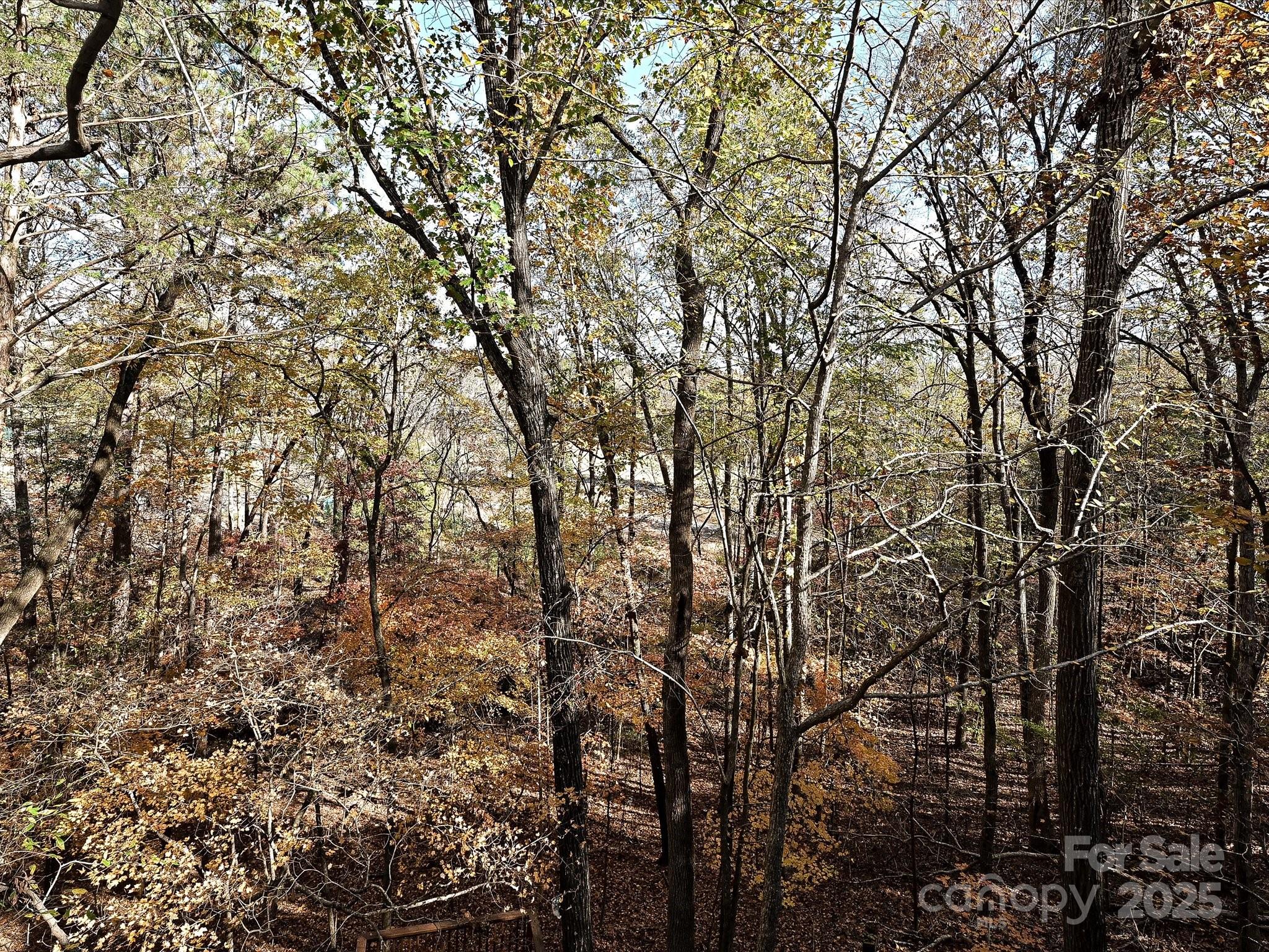 25040 Timberlake Drive Tega Cay, SC 29708 - Photo 20 of 40 a view of a yard