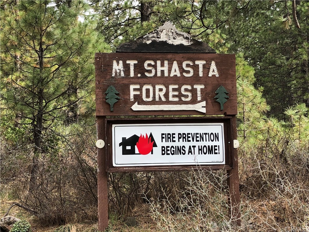 1 Sisson Drive McCloud, CA 96057 - Photo 2 of 7