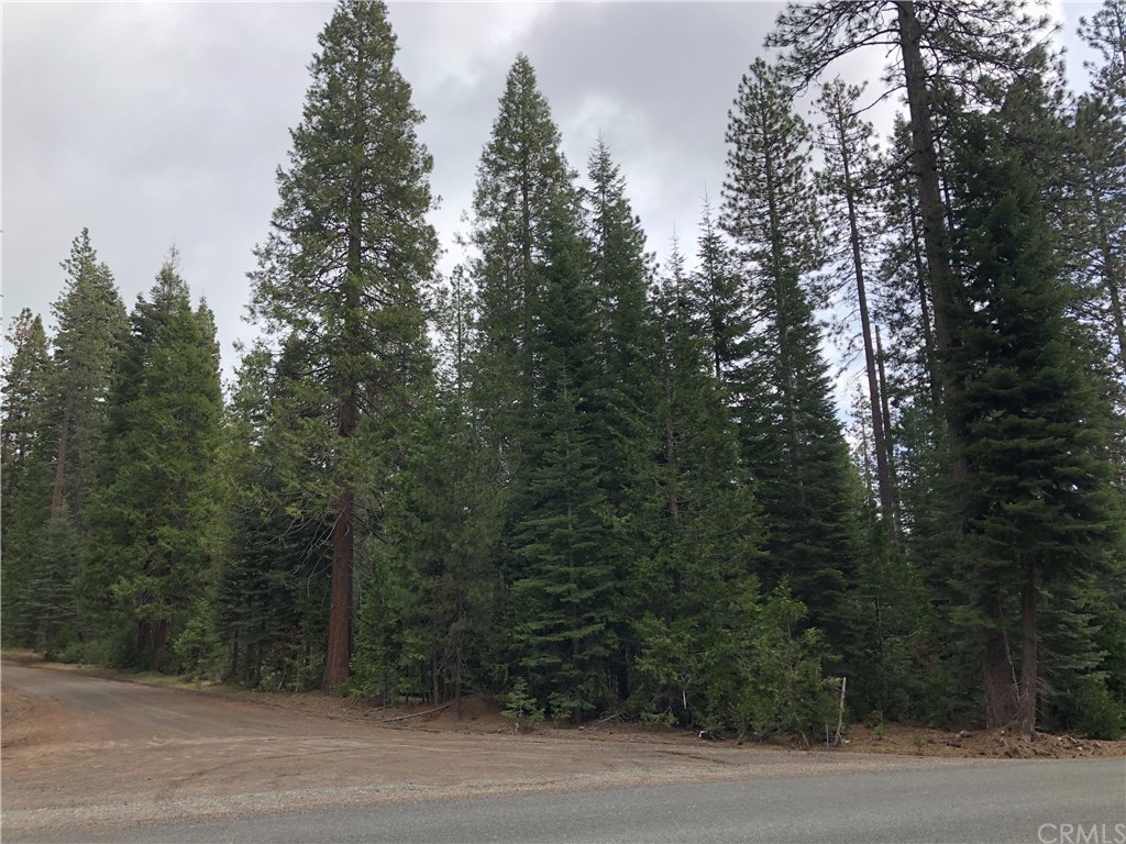 1 Sisson Drive McCloud, CA 96057 - Photo 3 of 7