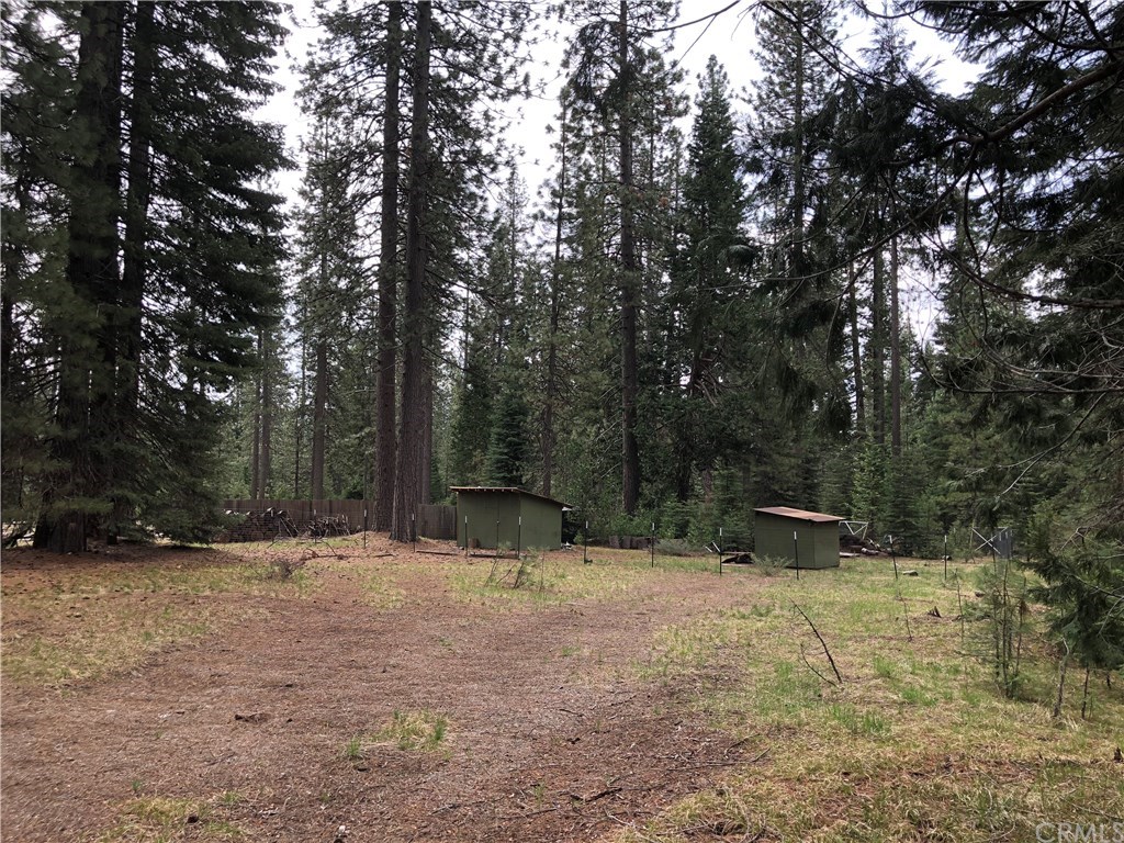 1 Sisson Drive McCloud, CA 96057 - Photo 4 of 7