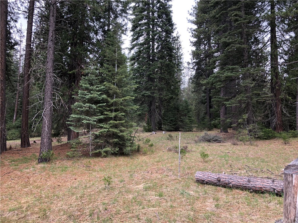 1 Sisson Drive McCloud, CA 96057 - Photo 6 of 7