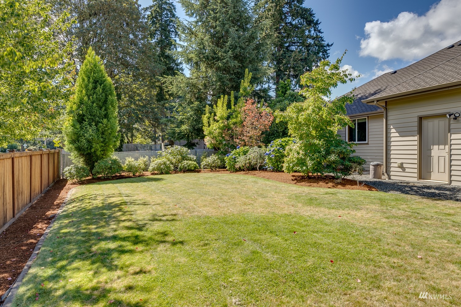 24222 23rd Avenue Southeast Bothell, WA 98021 - Photo 4 of 40 a view of a backyard with plants and large trees