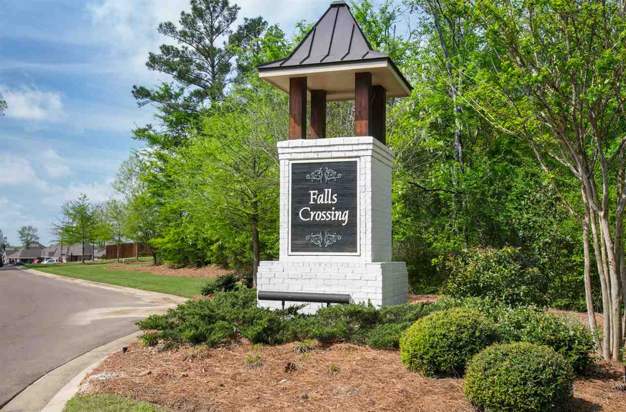313 Falls Crossing Madison, MS 39110 - Photo 8 of 50 Photo 8