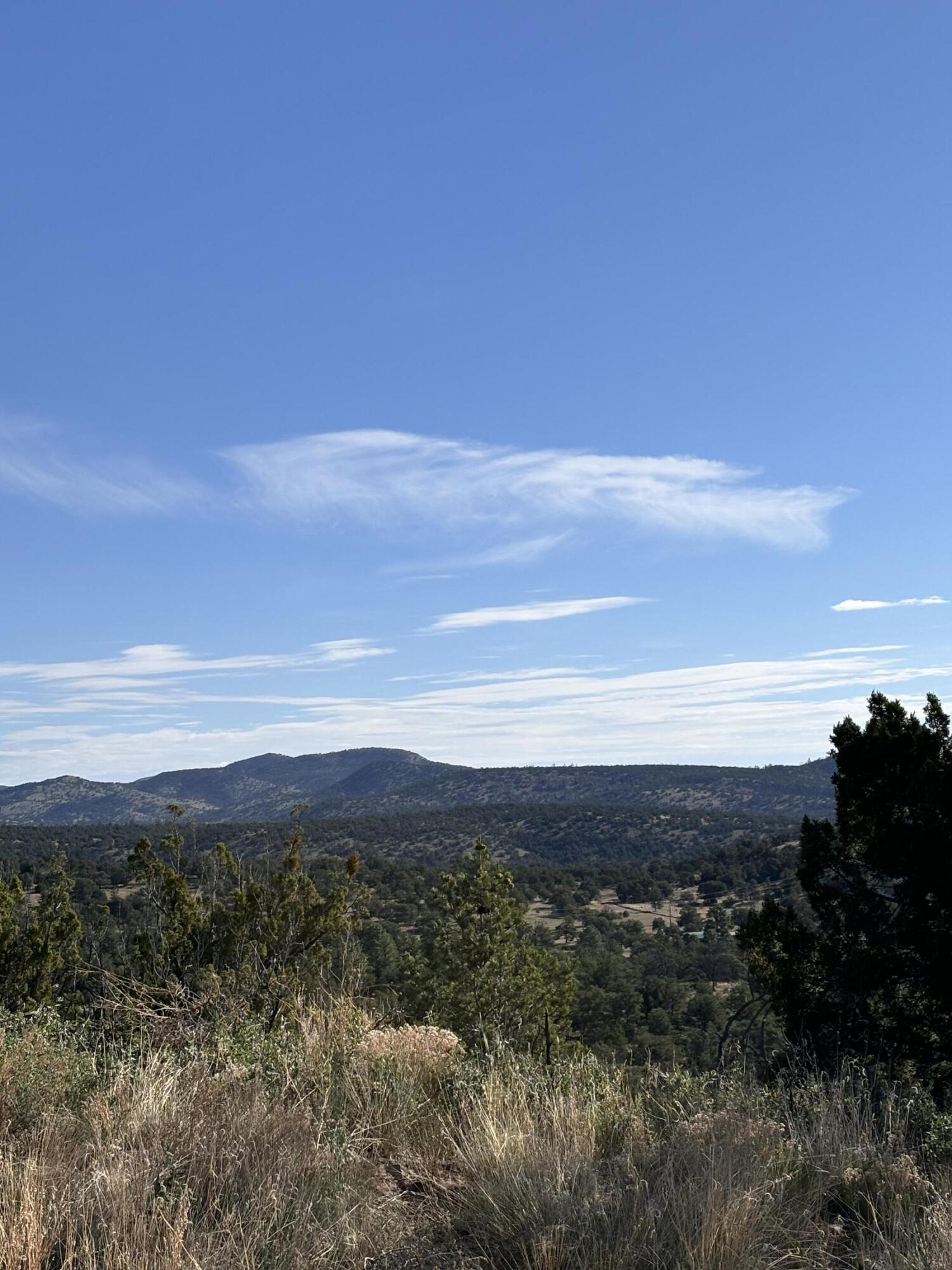 34 Lookout Circle Datil, NM 87821 - Photo 6 of 12 Gallery Image 6