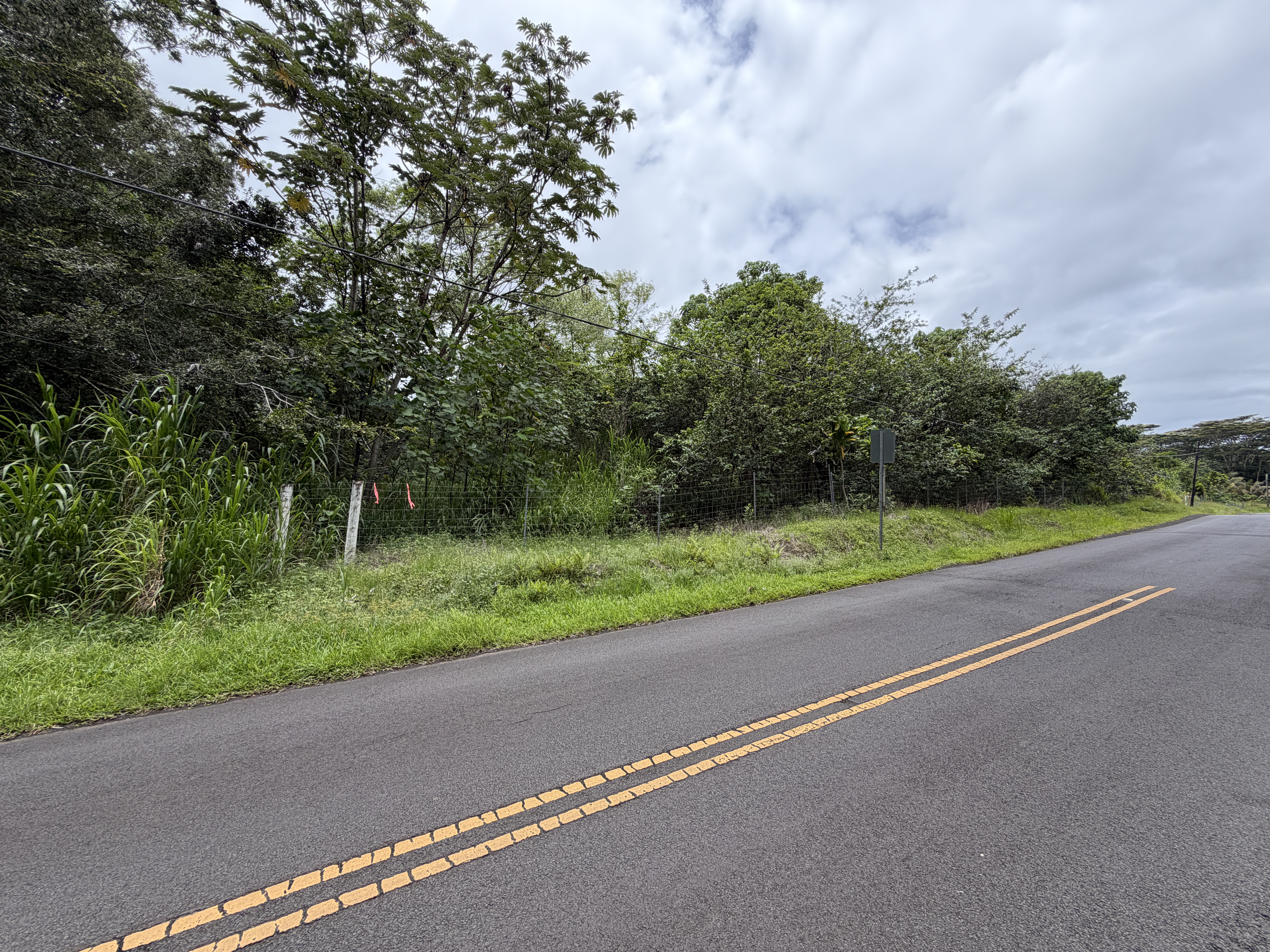 2 Opihikau Road Pahoa, HI 96778 - Photo 5 of 16