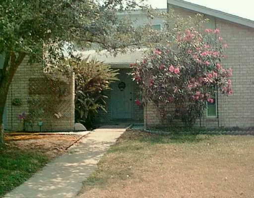 a view of a yard with trees